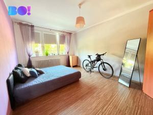 Pronájem bytu 3+1, Karviná, Divišova, 73 m2