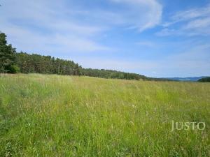 Prodej pozemku pro bydlení, Dobev - Velké Nepodřice, 8980 m2