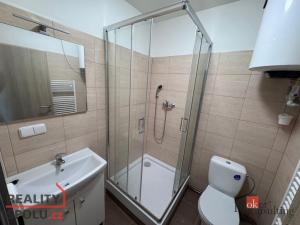 Pronájem bytu 2+kk, Mlékojedy, 55 m2