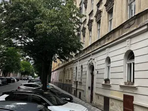 Dražba bytu 2+1, Praha - Vinohrady, Šumavská, 61 m2