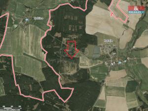 Prodej lesa, Bernartice - Zběšice, 3179 m2
