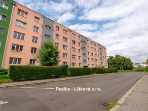 Prodej bytu 2+1, Ústí nad Labem - Střekov, Kozinova, 54 m2