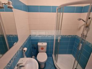 Pronájem obchodního prostoru, Příbram, Riegrova, 158 m2