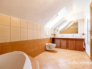 Pronájem bytu 6+kk a větší, Praha - Královice, K Uhříněvsi, 221 m2