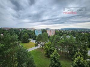 Pronájem bytu 1+kk, Brno, Opálkova, 25 m2