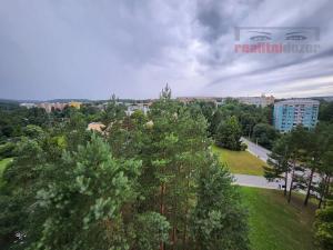 Pronájem bytu 1+kk, Brno, Opálkova, 25 m2
