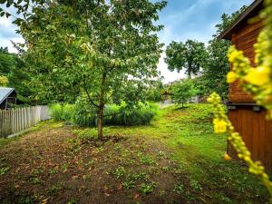 Prodej rodinného domu, Bechyně, Plechamr, 68 m2