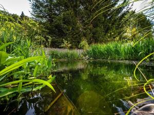 Prodej rodinného domu, Bechyně, Plechamr, 68 m2