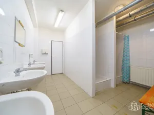 Prodej výrobních prostor, Krásno, Kladenská, 4900 m2