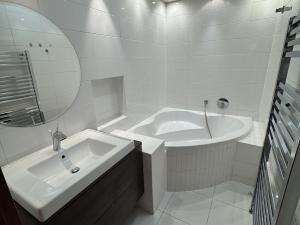 Pronájem bytu 3+kk, Opava, Horní náměstí, 109 m2