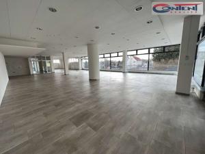 Pronájem obchodního prostoru, Plzeň - Severní Předměstí, alej Svobody, 380 m2