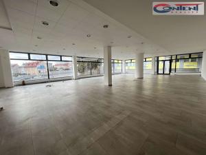 Pronájem obchodního prostoru, Plzeň - Severní Předměstí, alej Svobody, 380 m2