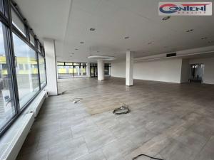 Pronájem obchodního prostoru, Plzeň - Severní Předměstí, alej Svobody, 380 m2
