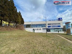 Pronájem obchodního prostoru, Plzeň - Severní Předměstí, alej Svobody, 380 m2