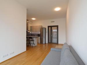 Pronájem bytu 1+kk, Brno - Ponava, Šumavská, 40 m2