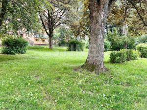 Prodej bytu 3+1, Havířov, Kmochova, 63 m2