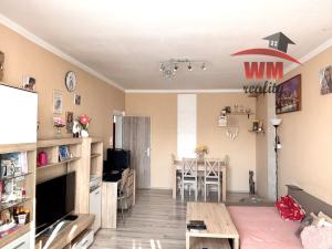 Prodej bytu 2+1, Ostrov, Masarykova, 53 m2