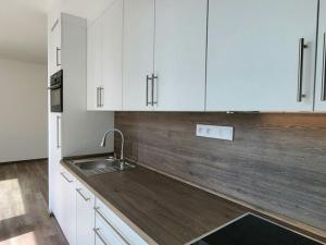 Pronájem bytu 1+kk, Brno - Veveří, Slovákova, 45 m2