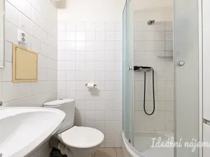 Pronájem bytu 1+1, Brno, Mojmírovo náměstí, 36 m2