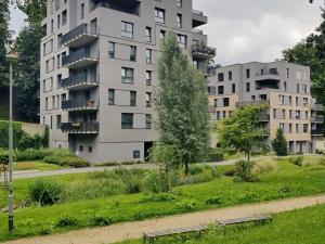 Pronájem bytu 2+kk, Liberec, Vítězná, 55 m2