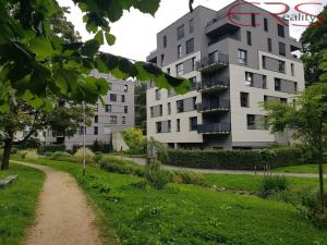 Pronájem bytu 2+kk, Liberec, Vítězná, 55 m2