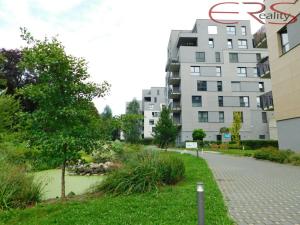 Pronájem bytu 2+kk, Liberec, Vítězná, 55 m2