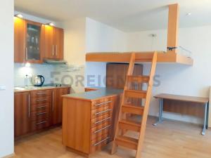 Pronájem bytu 1+kk, Praha - Záběhlice, Ve slatinách, 34 m2