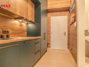 Pronájem bytu 1+kk, Praha - Nové Město, Tyršova, 22 m2