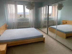 Pronájem bytu 3+1, Frýdek-Místek, Horymírova, 79 m2