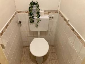 Prodej bytu 2+1, Brandýs nad Labem-Stará Boleslav, Sídliště, 59 m2