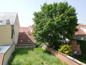 Pronájem kanceláře, Jihlava, Brněnská, 19 m2