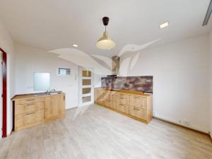 Pronájem bytu 1+1, Dýšina, K Chlumu, 35 m2