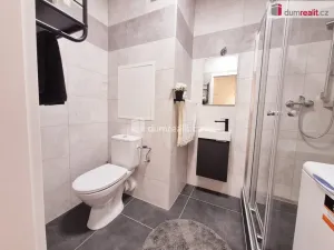 Pronájem bytu 2+kk, Roudnice nad Labem, Na Urbance, 49 m2