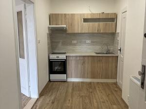 Prodej bytu 1+kk, Plzeň - Jižní Předměstí, Purkyňova, 37 m2