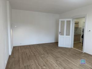 Prodej bytu 1+kk, Plzeň - Jižní Předměstí, Purkyňova, 37 m2