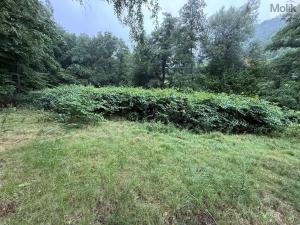 Prodej chaty, Ústí nad Labem - Sebuzín, 35 m2