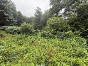 Prodej chaty, Ústí nad Labem - Sebuzín, 35 m2