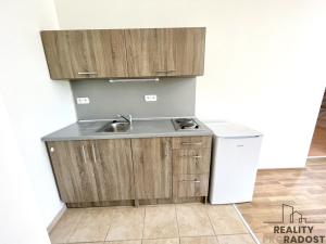 Pronájem bytu 1+kk, Olomouc, Březinova, 35 m2