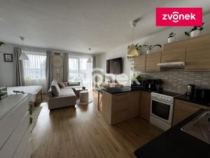 Pronájem bytu 1+kk, Zlín, Voženílkova, 43 m2