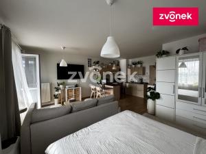 Pronájem bytu 1+kk, Zlín, Voženílkova, 43 m2