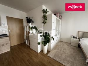 Pronájem bytu 1+kk, Zlín, Voženílkova, 43 m2