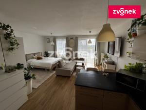 Pronájem bytu 1+kk, Zlín, Voženílkova, 43 m2