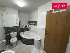 Pronájem bytu 1+kk, Zlín, Voženílkova, 43 m2
