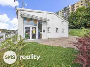 Pronájem obchodního prostoru, Třebíč - Nové Město, Brněnská, 293 m2