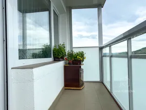 Prodej bytu 3+1, Brno, Vlčnovská, 64 m2