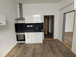 Pronájem bytu 1+1, Cheb, Evropská, 46 m2