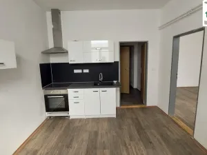 Pronájem bytu 1+1, Cheb, Evropská, 46 m2