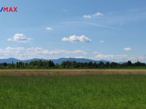 Prodej rodinného domu, Těrlicko - Hradiště, Volovecká, 220 m2