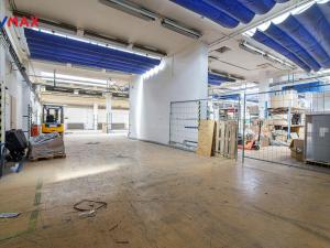 Pronájem skladu, Ostrava - Zábřeh, Výškovická, 1360 m2
