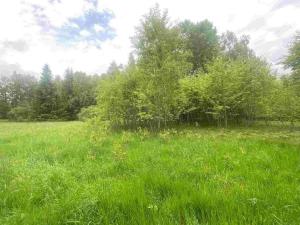 Prodej pozemku, Horní Planá - Bližší Lhota, Zvonková, 3443 m2